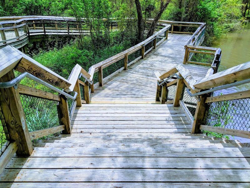 Blue Swamp Creek Nature Trail And Bogue Chitto Park
