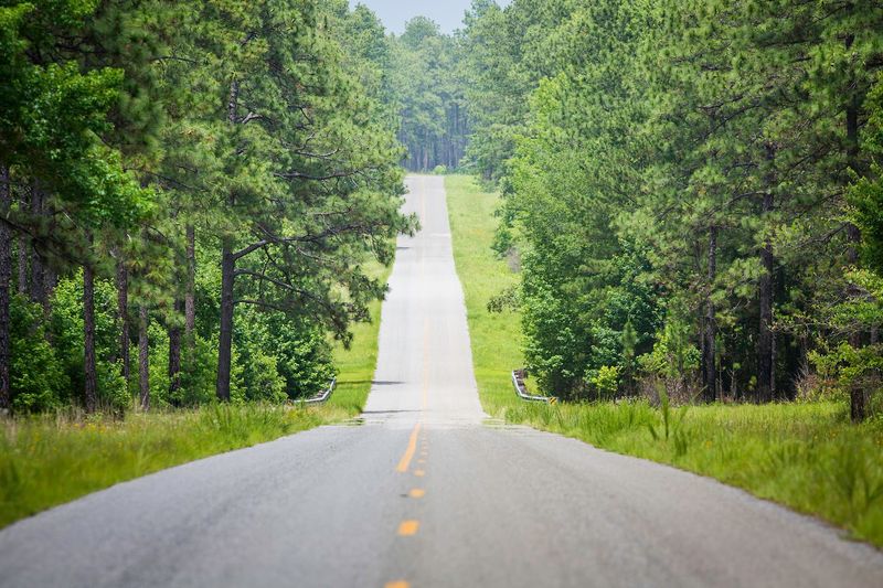 Kisatchie Bayou Crossing