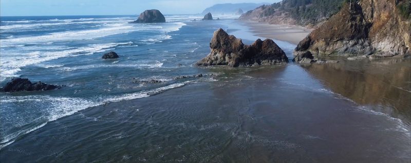 Starfish Cove