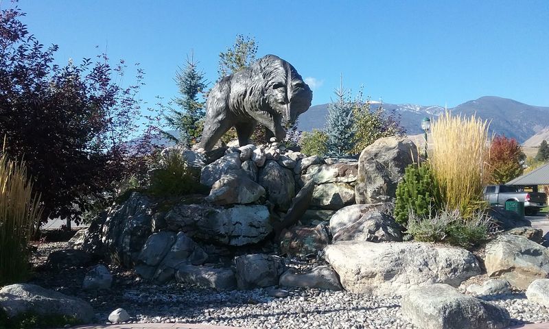 Wildlife Around Every Corner
