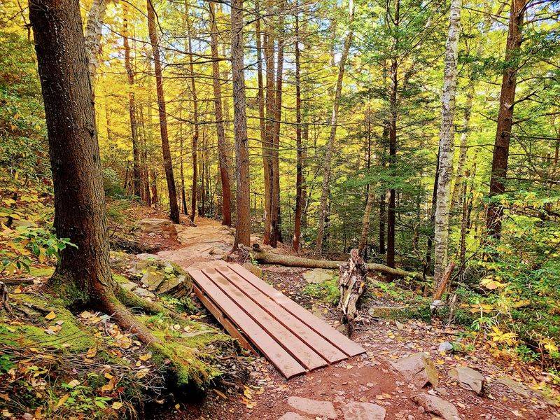 The Trail That Changes Everything