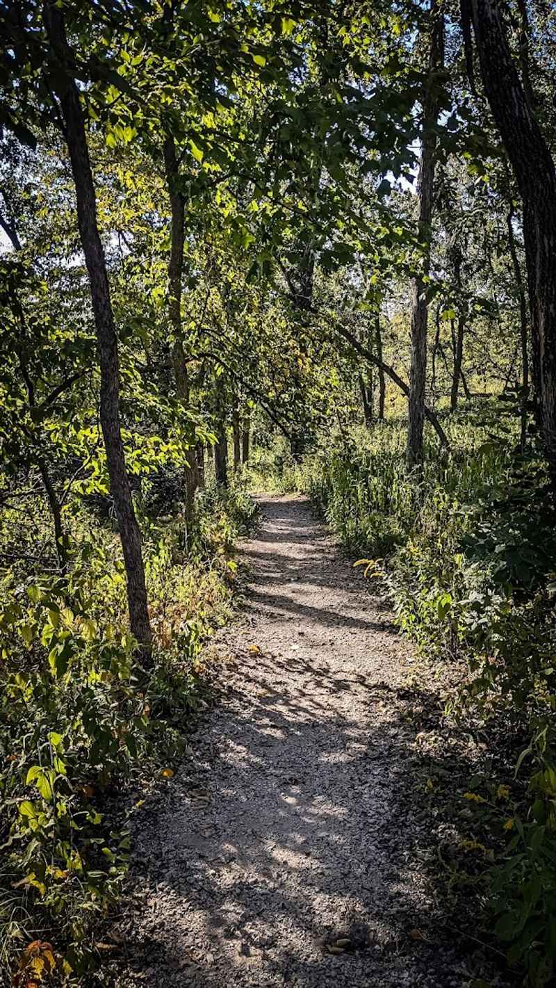 Birdwatching and Trail Time in the Surrounding Woods