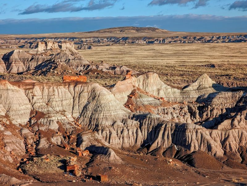 Petrified Forest National Park