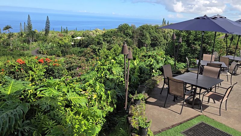 Heavenly Hawaiian Coffee Farm