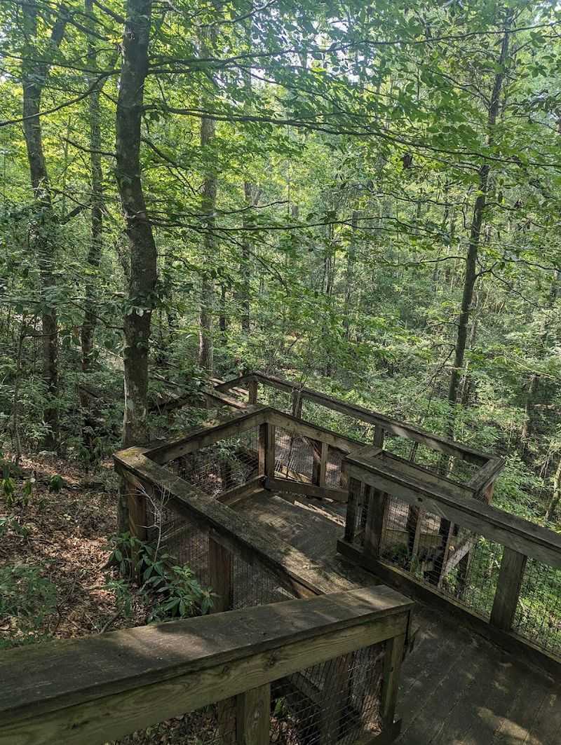 Discover Fricke's Cave