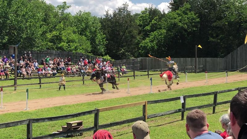 Renaissance Festival Magic