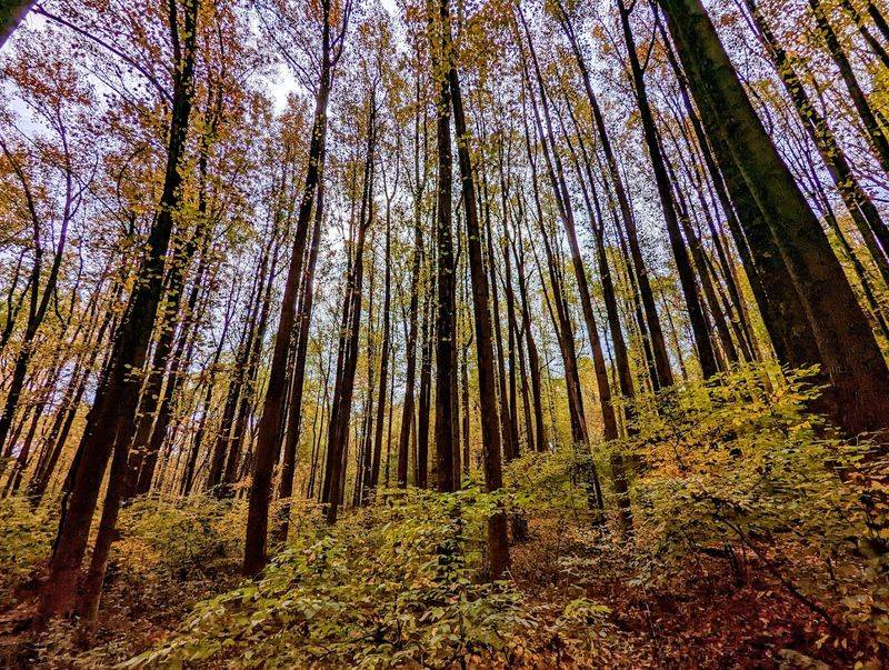 White Clay Creek State Park