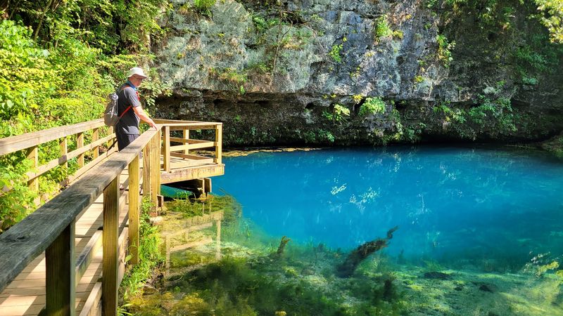 Blue Spring Natural Area