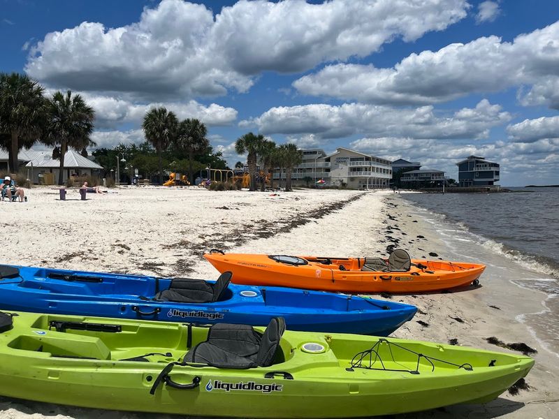 Kayaking Through A Living Salt Marsh