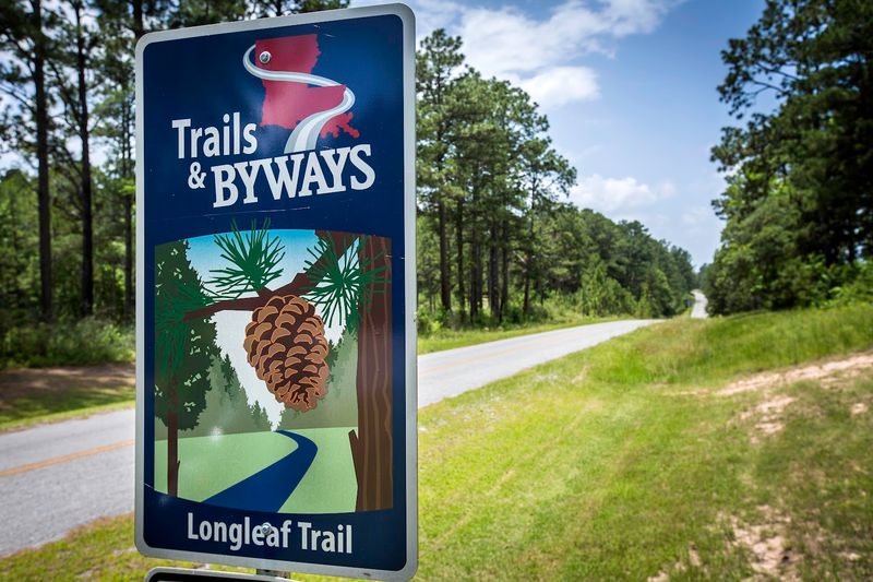 Longleaf Vista Recreation Area