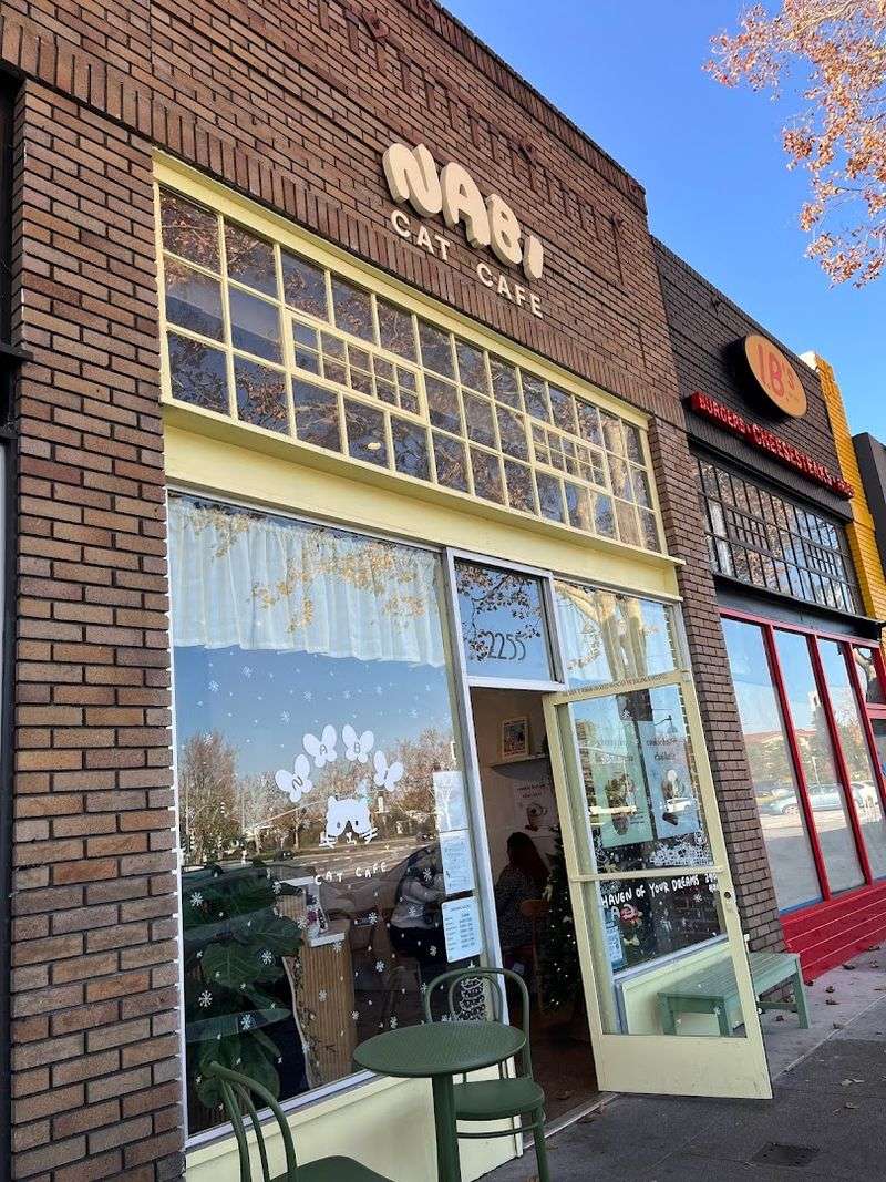 Nabi Cat Cafe - Santa Clara