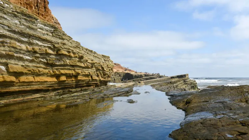 Point Loma Tide Pools