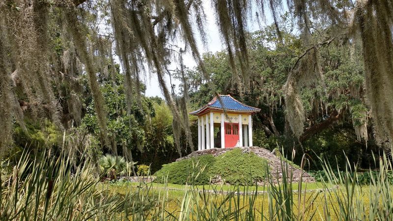 Avery Island Jungle Gardens, Avery Island