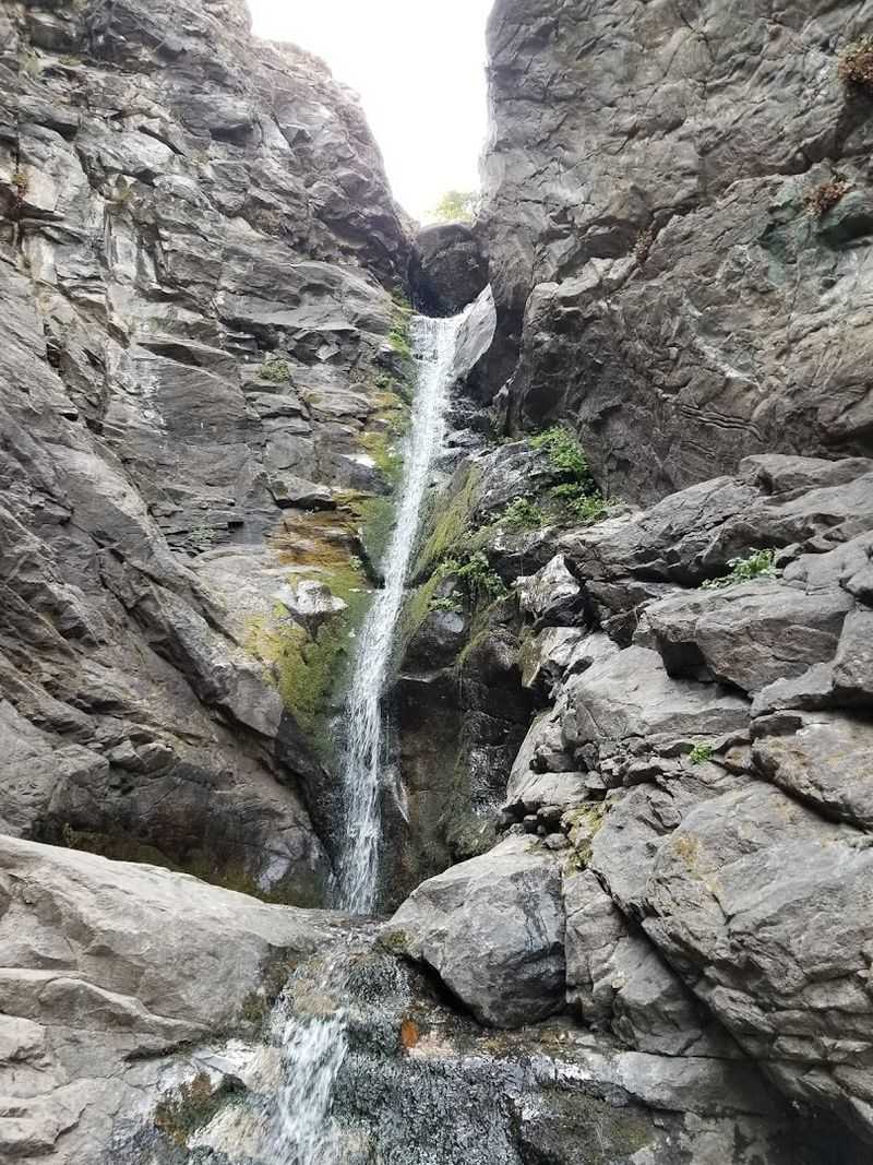 Rocky Mouth Falls Trail