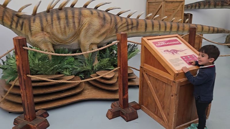 The Hands-On Discovery Room For Young Explorers