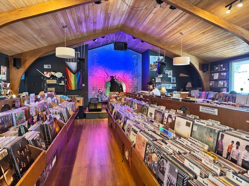 Record Store Day And The Art Of The Hunt
