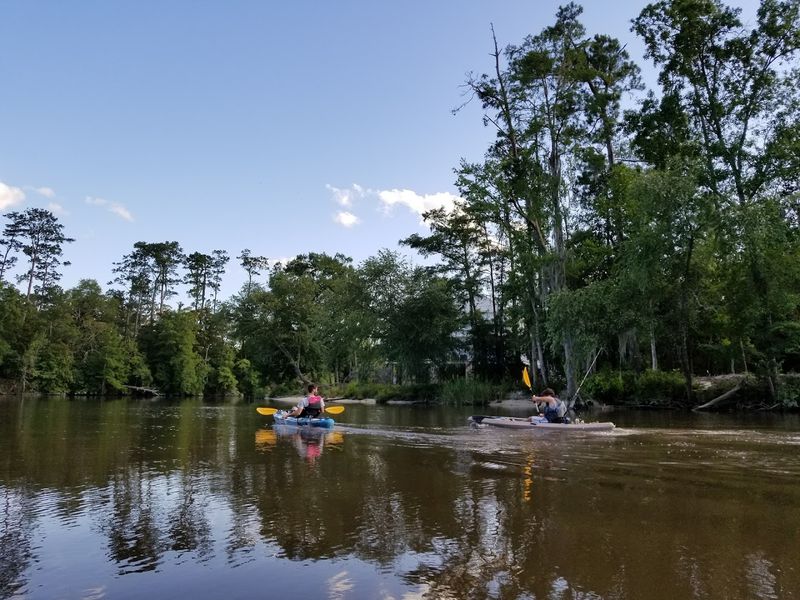 Paddlesports On The Bogue Falaya River