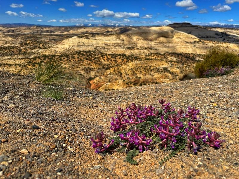 Head Of The Rocks Overlook, Escalante, Utah