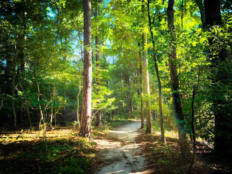 Killens Pond State Park Nature Center