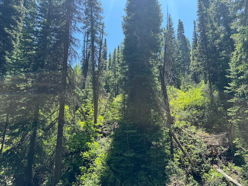 The Sweetest Surprise At The End Of The Trail