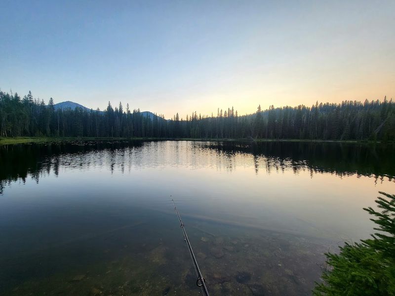 The Lake Arrives Quietly
