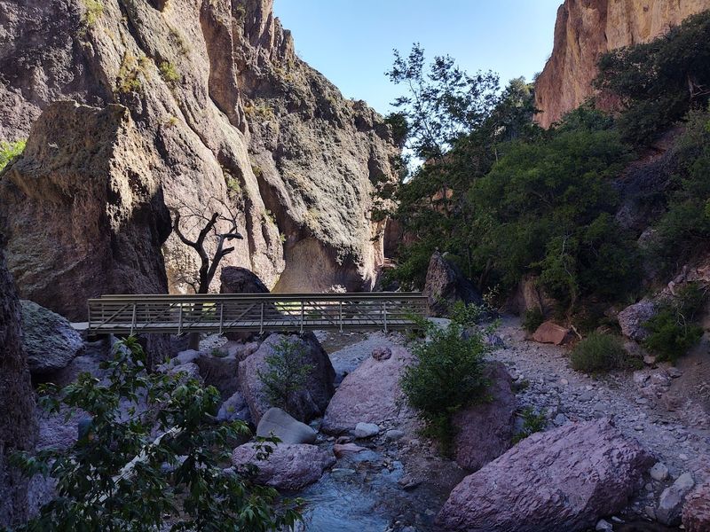 Desert Canyon Scenery With A Wild Edge