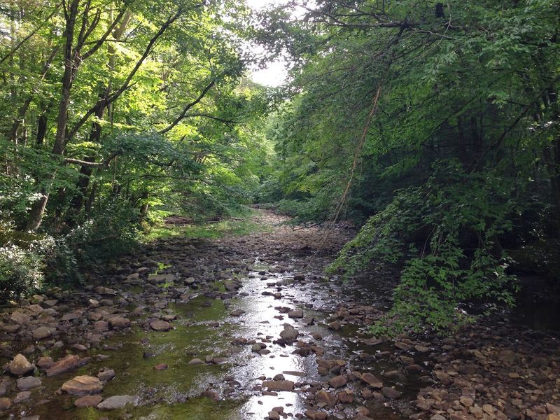Richwood