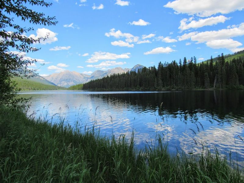 Logging Lake