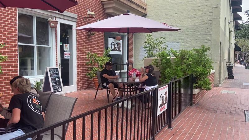 The Cat Cafe - San Diego