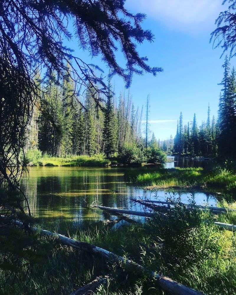 Stargazing In The Central Idaho Dark Sky Reserve
