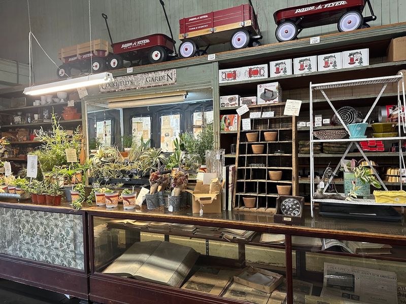 Spot The Quirky Displays