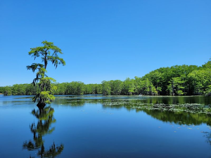 Paddle The Scenic Canoe Trail
