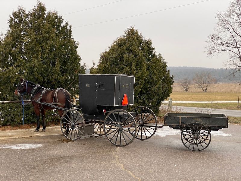 The Amish Roots That Make This Store Unlike Any Other