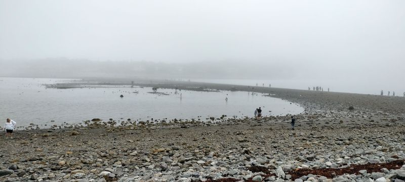 Bar Island Land Bridge