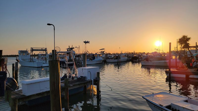 The Seafood Is Local And That Is Not Just A Marketing Line