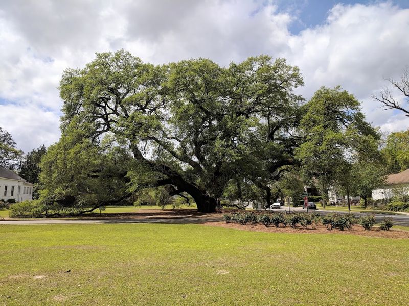 Outdoor Life Year-Round