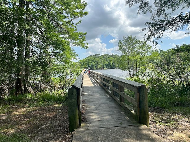 Enjoy Cycling On Trails And Roadways