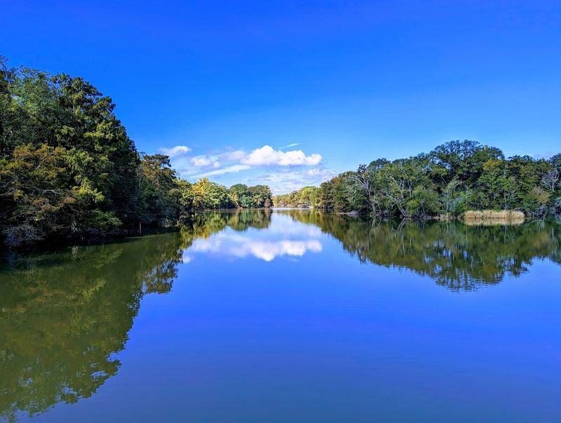 Lake Fausse Pointe State Park, St. Martinville