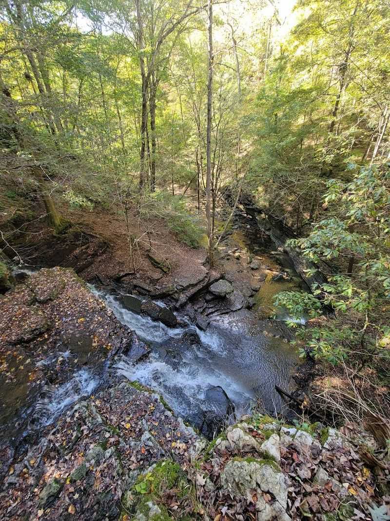 The View From The Top Of The Falls