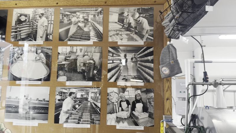 A Century Of Cheesemaking History