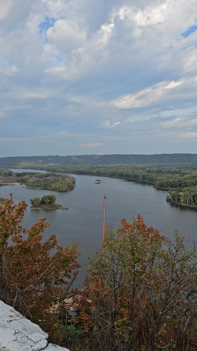 Wildlife and Bald Eagles Above the River