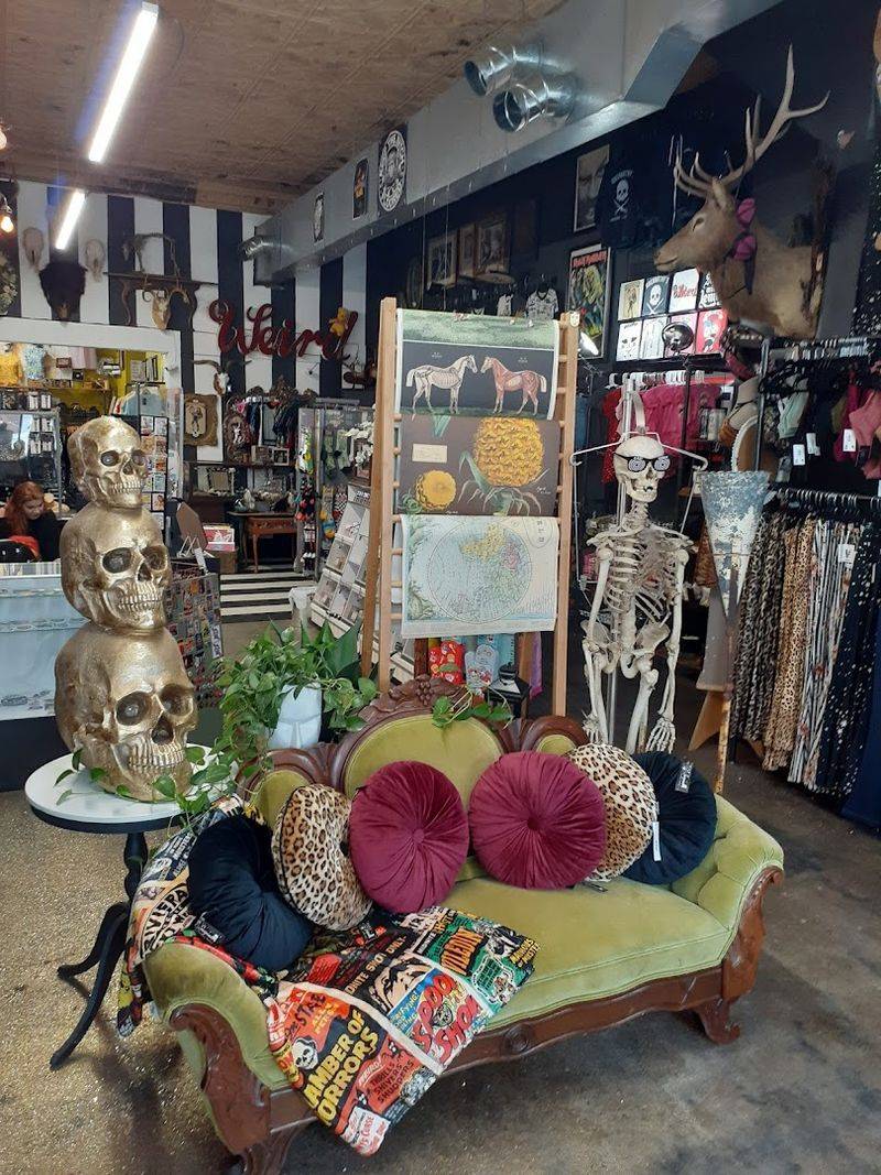 Home Decor and Gifts That Refuse to Be Boring