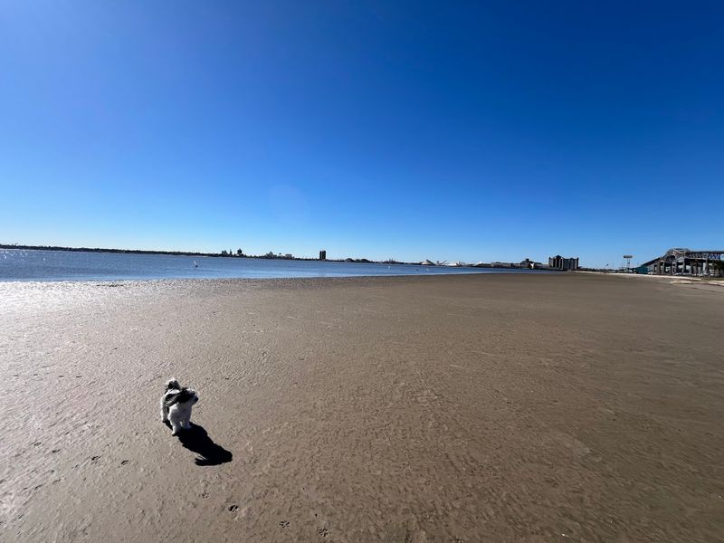 Combine A Beach Visit With Local Stops