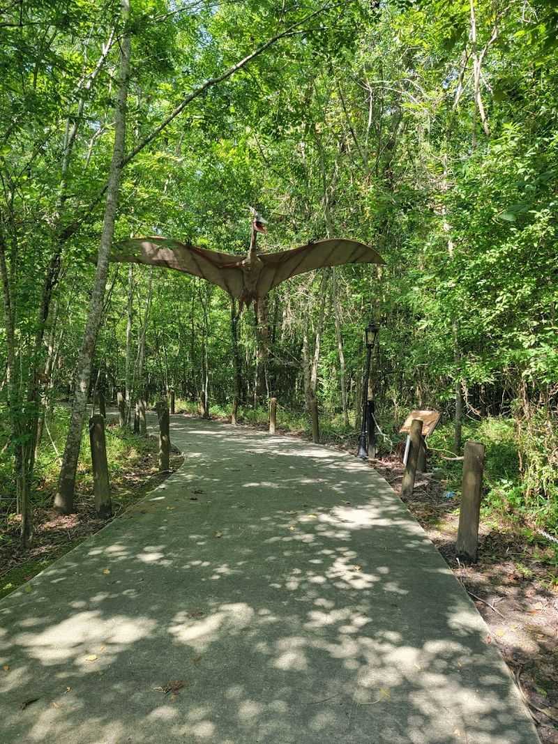 Accessibility And Pathway