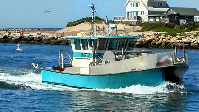 Deep Sea Fishing Trips