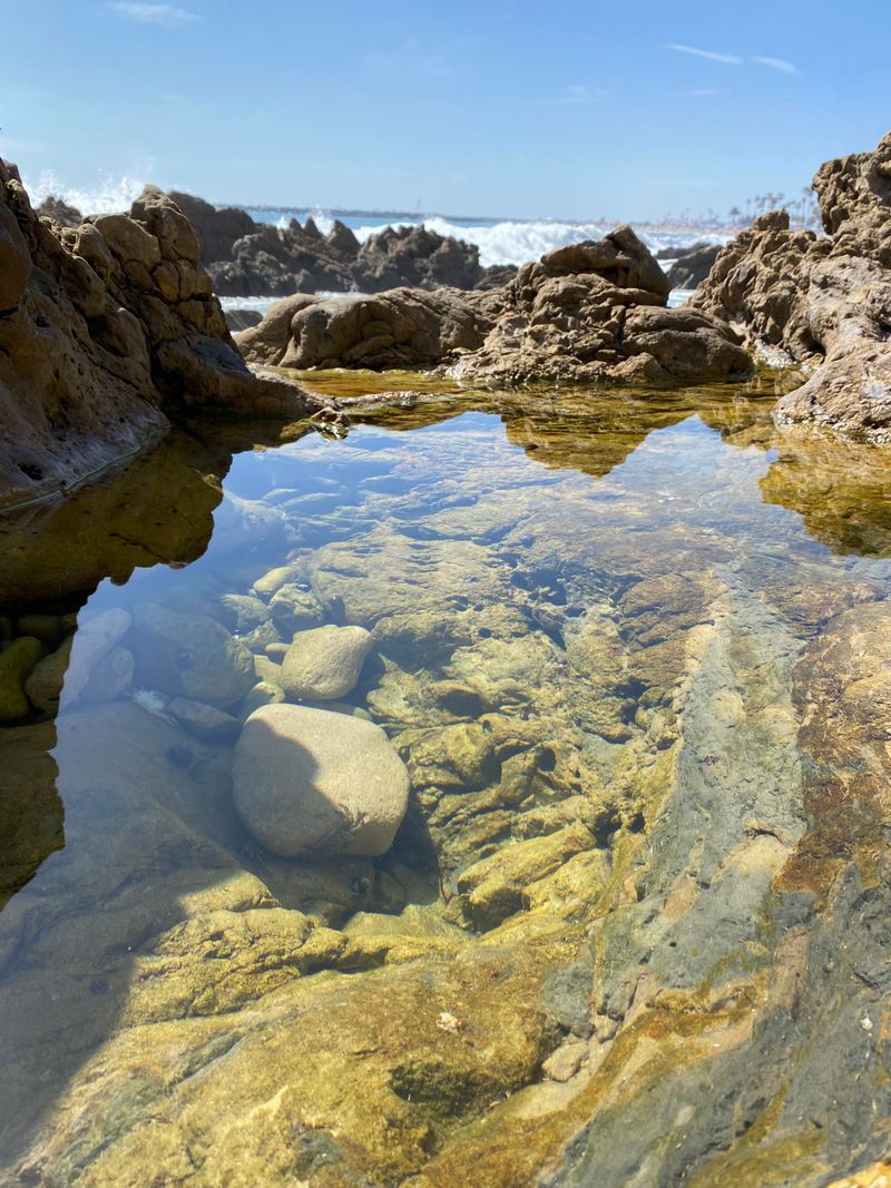 Tide Pools at Little Corona del Mar
