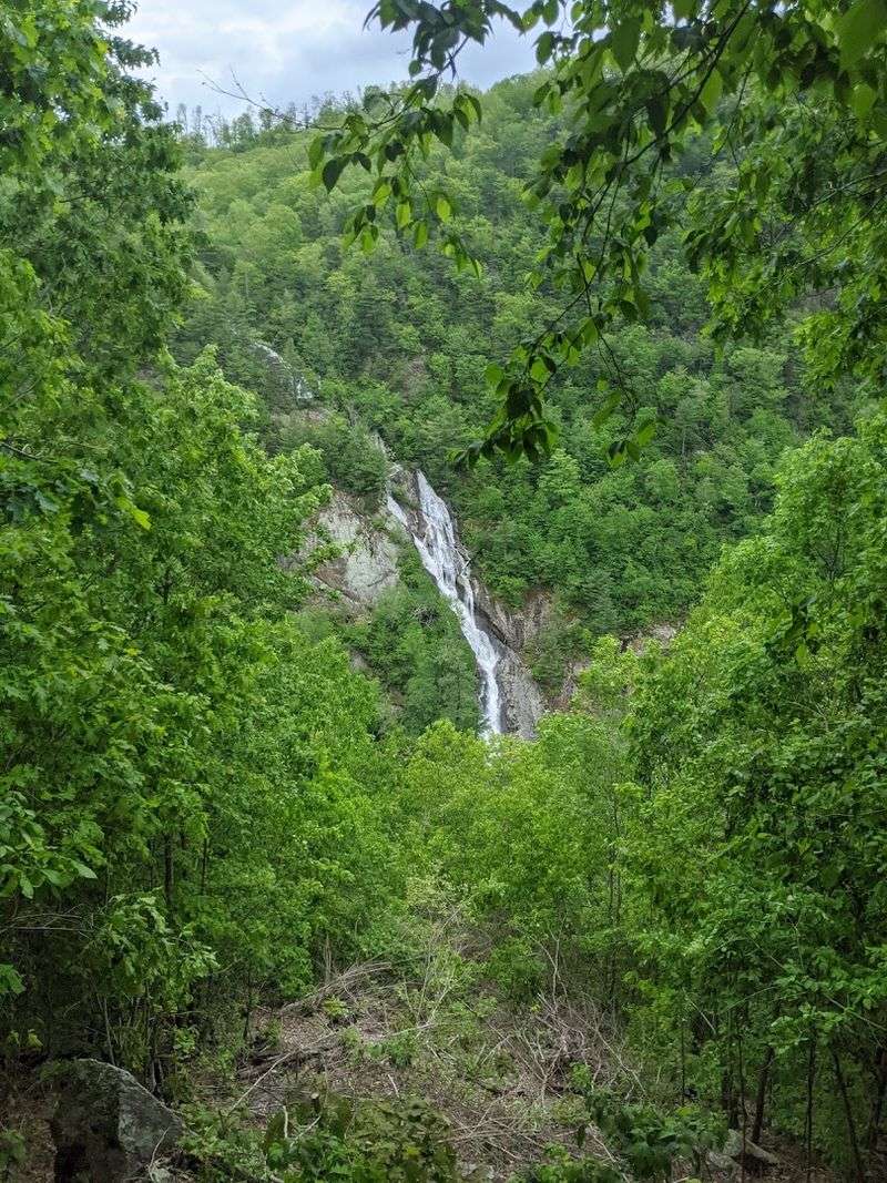 Why The Nature Conservancy Chose This Spot