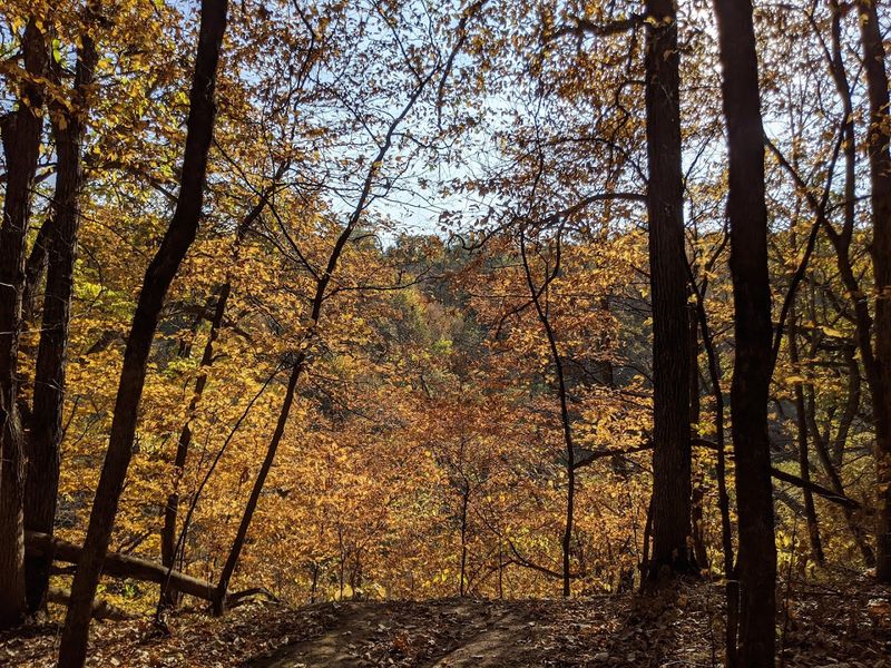 Why This Quiet Corner of Iowa Stays With You