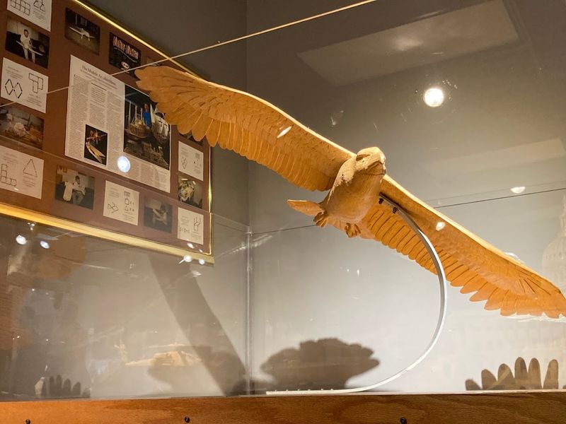 The Eagle That Seems to Soar Right Off the Display