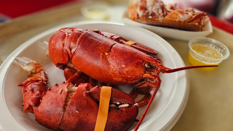 Lobsters Slow-Steamed Right